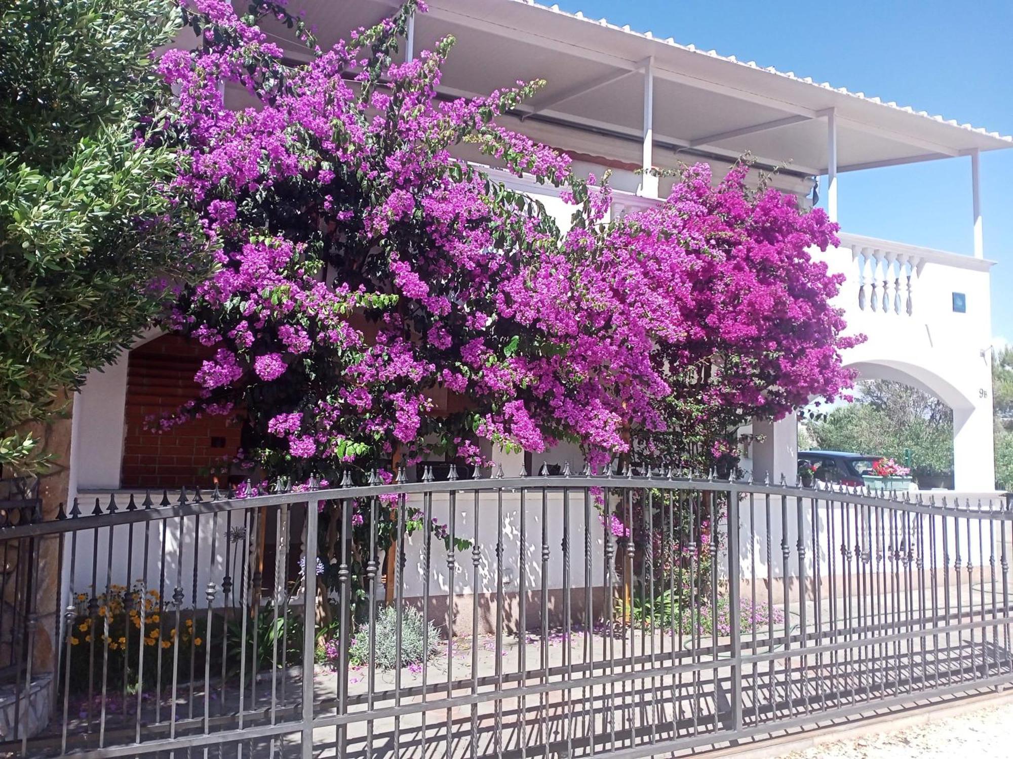 פאקוסטאן Apartment Drage 17392A מראה חיצוני תמונה